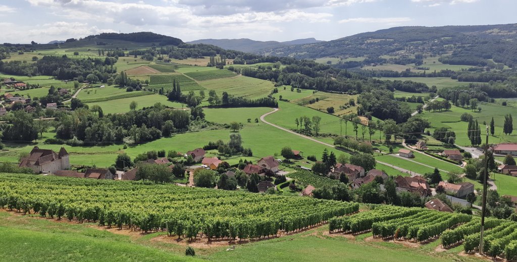 Savoie Viticole : Un renouveau récent pour les amateurs de flacons originaux