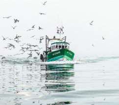 LA PECHE ARTISANALE FRANCAISE A MAREE BASSE