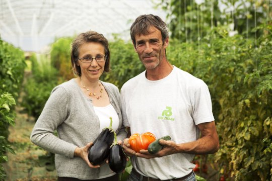 Annuaire Circuits-Courts.localinfo.fr : Le Potager d'Olivier Maraicher à La Ferté Alais