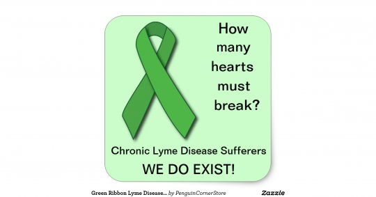 Sur le front de Lyme : à l’Est, rien de nouveau