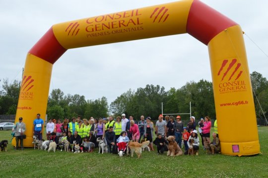 Un 1er Canicross / Canimarche réussi !