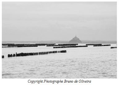 La saison des MOULES DE BOUCHOT DE LA BAIE DU MONT SAINT-MICHEL AOP est lancée !   