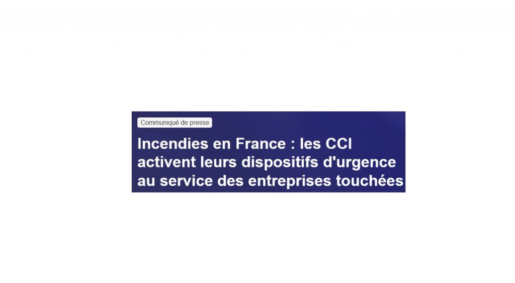 Incendies en France : les CCI activent leurs dispositifs d'urgence au service des entreprises touchées