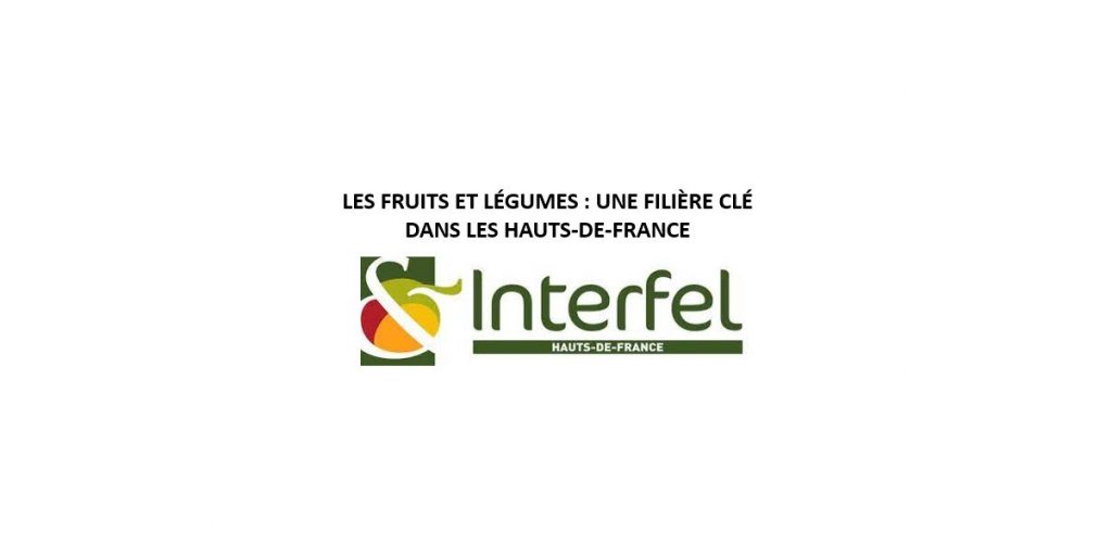 LES FRUITS ET LÉGUMES : UNE FILIÈRE CLÉ DANS LES HAUTS-DE-FRANCE