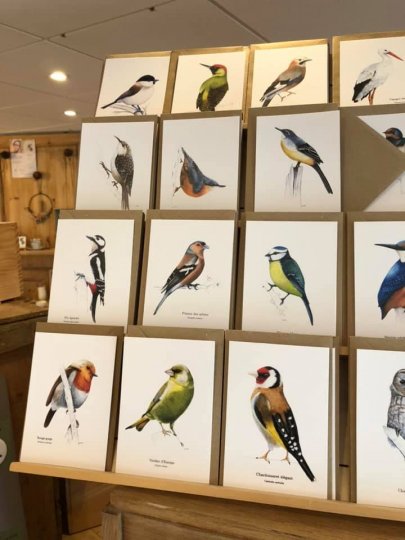 Horaires d'été pour la boutique éphémère Cultivons les cailloux 