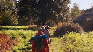 Domaine d'Hostens en Gironde : Premier site français labellisé pour les bains de forêt @gironde