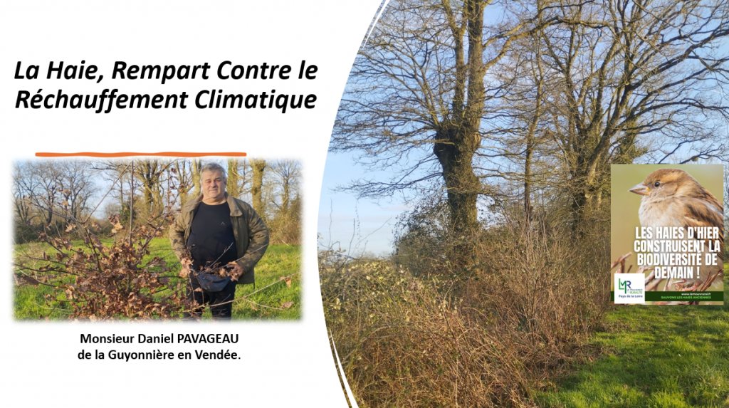 Acteurs Locaux en Mouvement de Vendée -  La Haie, Rempart Contre le Réchauffement Climatique par Erick Marolleau