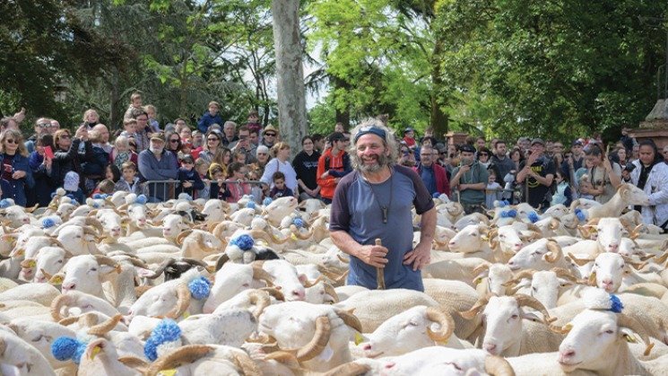Grande journée annuelle de la transhumance, dimanche 4 mai 2025 à Villeneuve les Bouloc en Haute-Garonne