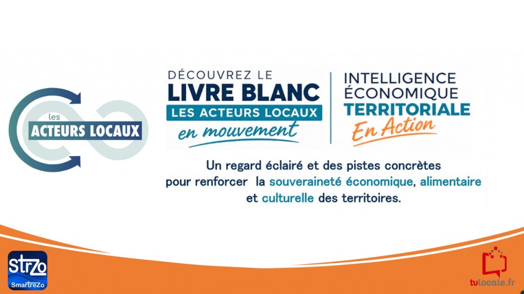 Livre Blanc de « ACTEURS LOCAUX en Mouvement »  - l'Alliance Internationale des Territoires