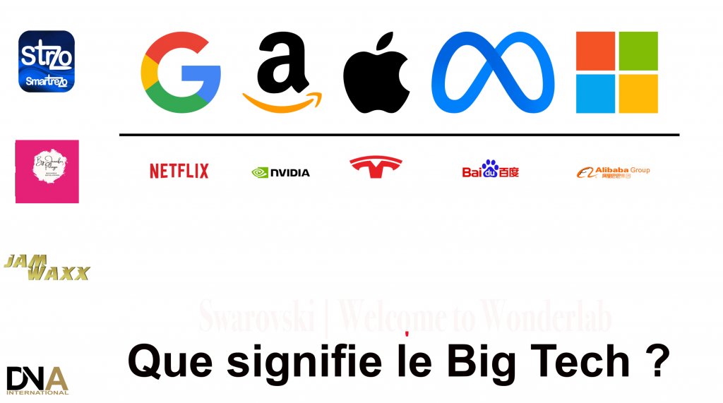 BIGTECH - Situation de Monopole Absolue 