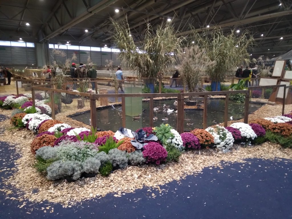 ProNaturA-France : Le  Salon International de l'Aviculture et de la Nature à Mulhouse  28 – 29 octobre 2023. Une leçon de Nature et de convivialité en Alsace. 