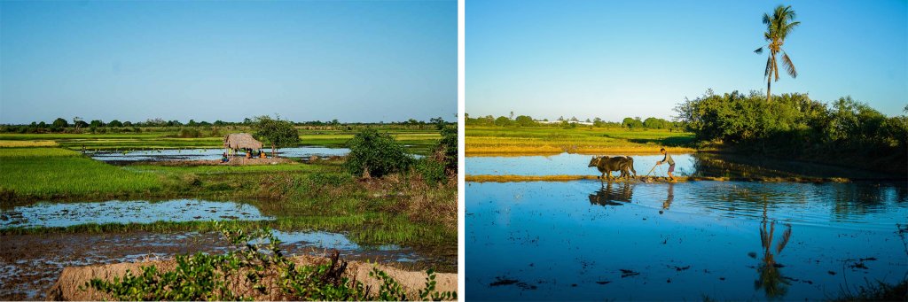  Madagascar : L'une des plus grandes îles du monde Terre d'aventures et de rencontres...