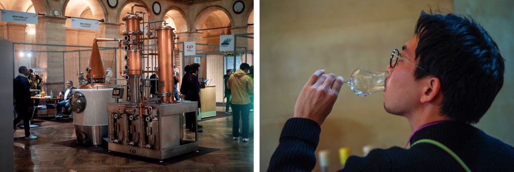 Paris : Le Mondial du Rhum et les Territoires ultramarins : un événement fédérateur réunissant tout l’écosystème du rhum.