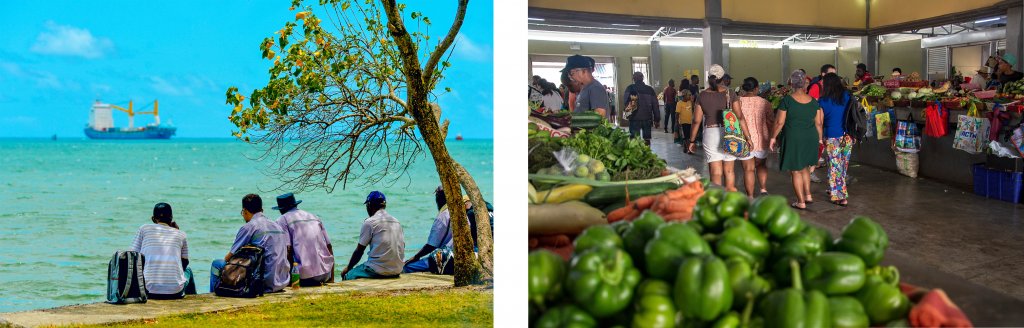 Rodrigues se lance à la conquête du marché sud-africain : mission stratégique pour séduire agences de voyages et tour-opérateurs !