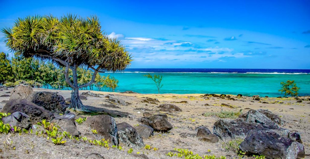 Rodrigues Tourism Survey : une enquête pour mieux comprendre le secteur touristique