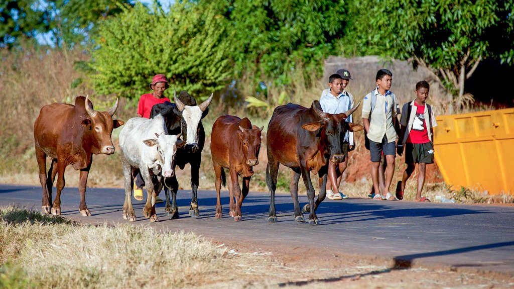 MADAGASCAR : « Redorons Ensemble l’Image de Madagascar » une campagne pour raviver l’image de la destination !