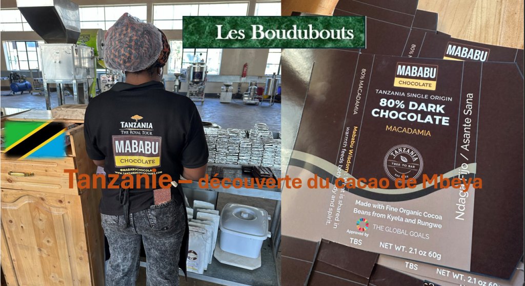 Acteurs Locaux TANZANIE - Les Boudubouts nous font découvrir une production de chocolat noir