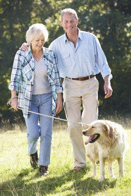 Les chiens de compagnie aident les personnes âgées à rester plus actives, selon Mars Petcare