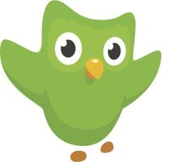 Tv Locale France sur Smartrezo - Nous avons testé pour vous @duolingo