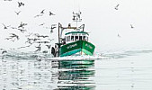 LA PECHE ARTISANALE FRANCAISE A MAREE BASSE