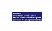Incendies en France : les CCI activent leurs dispositifs d'urgence au service des entreprises touchées