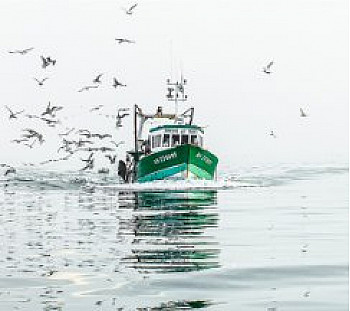 LA PECHE ARTISANALE FRANCAISE A MAREE BASSE