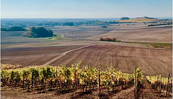 Offres emplois saisonniers - 23 annonces