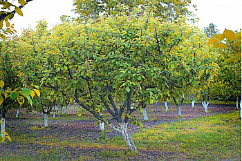 Offres emplois saisonniers - 13 annonces