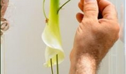 ART: QU’EST-CE QU’UN EXFLORATEUR ?