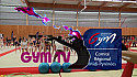Gymnastique: le comit&eacute; Midi-Pyr&eacute;n&eacute;es organisait le FESTI CLUBS LOISIR &eacute;v&eacute;nement d&eacute;di&eacute; &agrave; la Gym Pour Tous le 19 novembre .