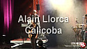 Années 80 : Alain Llorca - 'Alicoba' - 2011