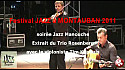 Jazz Manouche : THE TRIO ROSENBERG INVITE TIM KLIPHUIS 2012