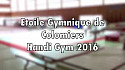 LA SECTION HANDI GYM DE L'ETOILE GYMNIQUE DE COLOMIERS