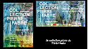 Collection Pierre Fabre ' visions plurielles ' Lavaur- Castres
