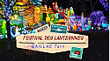Gaillac,  festival de lanternes #gaillac #festival #tarn #tvlocale.fr #occitanie 
