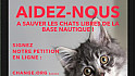Signez cette pétition - Sauvez les chats libres de la base Nautique de Saint-Nicolas de la Grave - Association Chats Sans Famille 82