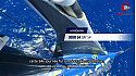 TV Locale Vendée 54éme journée du Vendée Globe 2024 - De récents cap-horniers et des cap-horniers en devenir