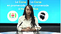TV Locale Corse - Emission spéciale 'Les Corses en promenade à Nice'