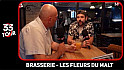 TV Locale Nantes - BRASSERIE - LES FLEURS DU MALT