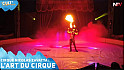 TV Locale Nantes - Cirque Nicolas Zavatta : l’art du cirque