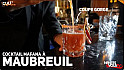 TV Locale Carquefou - rencontre Cocktail Mafana au Chateau de  Maubreuil de Carquefou  avec Kleven CHAUVET