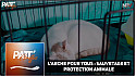 TV Locale Nantes - L’Arche pour tous : Sauvetage et Protection Animale
