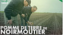 TV Locale Noirmoutier - La Pomme de Terre de Noirmoutier avec Gaëtan Gendron