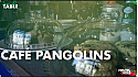 TV Locale Nantes - Le café des Pangolins