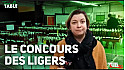 TV Locale Angers - Concours des Ligers - Angers