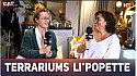 TV Locale Nantes - Décoration d'intérieur avec Terrariums Li’Popette