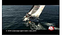Vacation de plusieurs skyppers de cette édition 2009 de la Transat Jacques Vabre