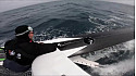 BREST ATLANTIQUES 19 novembre 2019 : 14ème jour de course marqué par les avaries de SODEBO... @Batlantiques  @GitanaTeam @trimaranMACIF @Sodebo_Voile @TeamActualeader