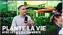 TV Locale Nantes - Plante la vie - Place du Commerce