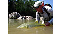 Pêche du dorado dans la jungle bolivienne